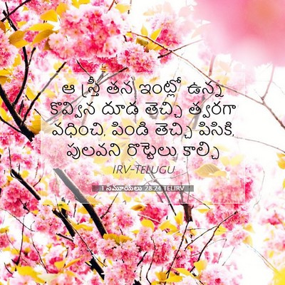 Picture 07 - 1 సమూయేలు 28:24 TELIRV - ఆ స్త్రీ తన ఇంట్లో - Bible Verse Picture