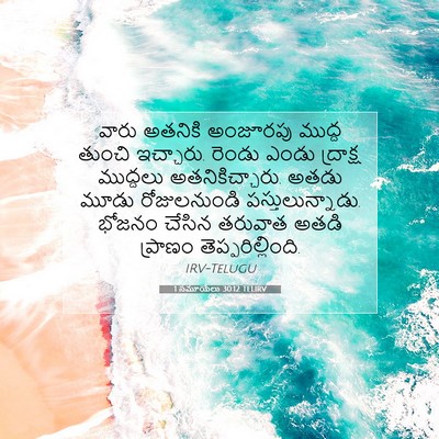 Picture 07 - 1 సమూయేలు 30:12 TELIRV - వారు అతనికి - Bible Verse Picture