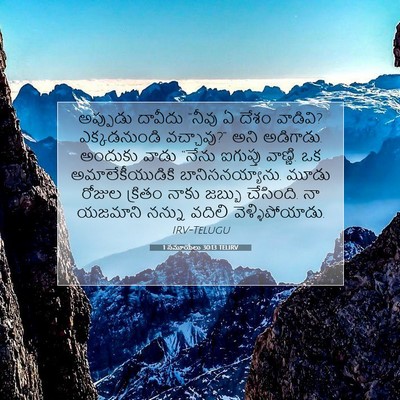 Picture 07 - 1 సమూయేలు 30:13 TELIRV - అప్పుడు దావీదు - Bible Verse Picture