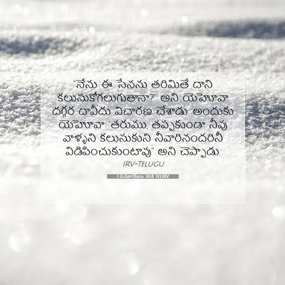 Picture 07 - 1 సమూయేలు 30:8 TELIRV - “నేను ఈ సేనను - Bible Verse Picture