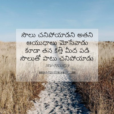 Picture 07 - 1 సమూయేలు 31:5 TELIRV - సౌలు చనిపోయాడని - Bible Verse Picture