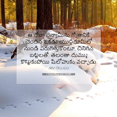 Picture 07 - 1 సమూయేలు 4:12 TELIRV - ఆ రోజు బెన్యామీను - Bible Verse Picture