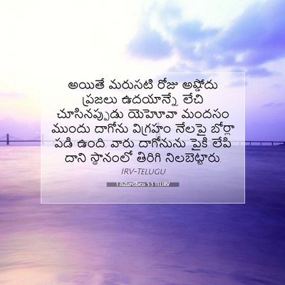 Picture 07 - 1 సమూయేలు 5:3 TELIRV - అయితే మరుసటి రోజు - Bible Verse Picture