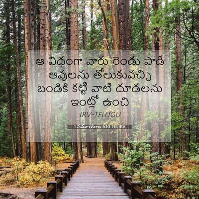 Picture 07 - 1 సమూయేలు 6:10 TELIRV - ఆ విధంగా వారు - Bible Verse Picture