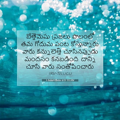 Picture 07 - 1 సమూయేలు 6:13 TELIRV - బేత్షెమెషు ప్రజలు - Bible Verse Picture
