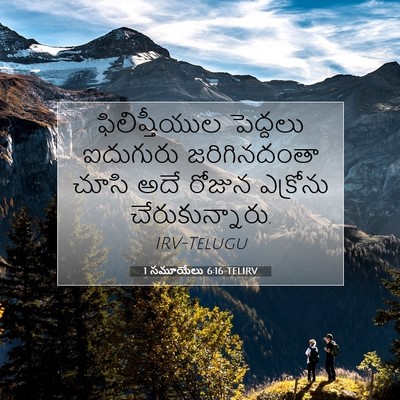Picture 07 - 1 సమూయేలు 6:16 TELIRV - ఫిలిష్తీయుల - Bible Verse Picture