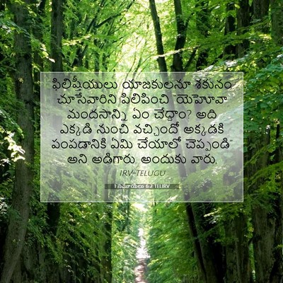 Picture 07 - 1 సమూయేలు 6:2 TELIRV - ఫిలిష్తీయులు - Bible Verse Picture