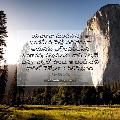 Picture 07 - 1 సమూయేలు 6:8 TELIRV - యెహోవా మందసాన్ని - Bible Verse Picture
