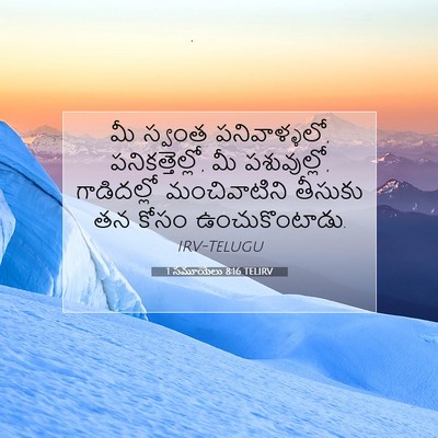 Picture 07 - 1 సమూయేలు 8:16 TELIRV - మీ స్వంత - Bible Verse Picture