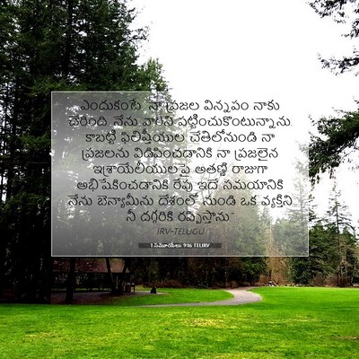 Picture 07 - 1 సమూయేలు 9:16 TELIRV - ఎందుకంటే “నా - Bible Verse Picture