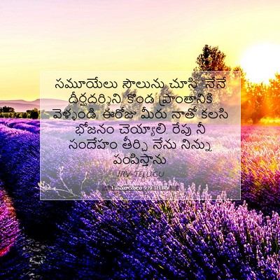 Picture 07 - 1 సమూయేలు 9:19 TELIRV - సమూయేలు సౌలును - Bible Verse Picture