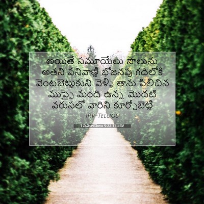 Picture 07 - 1 సమూయేలు 9:22 TELIRV - అయితే సమూయేలు - Bible Verse Picture
