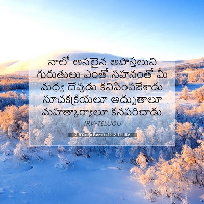 Picture 07 - 2 కొరింథీయులకు 12:12 TELIRV - నాలో అసలైన - Bible Verse Picture