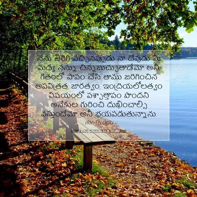 Picture 07 - 2 కొరింథీయులకు 12:21 TELIRV - నేను తిరిగి - Bible Verse Picture