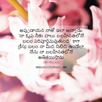 Picture 07 - 2 కొరింథీయులకు 12:9 TELIRV - అప్పుడాయన నాతో - Bible Verse Picture