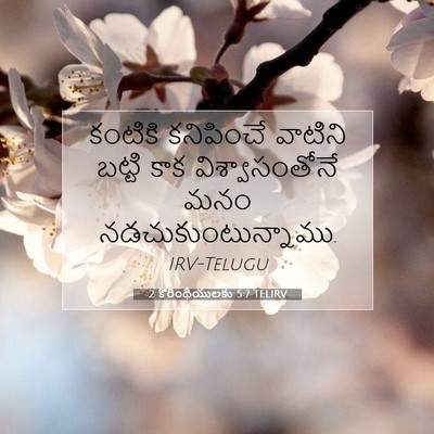 Picture 07 - 2 కొరింథీయులకు 5:7 TELIRV - కంటికి కనిపించే - Bible Verse Picture