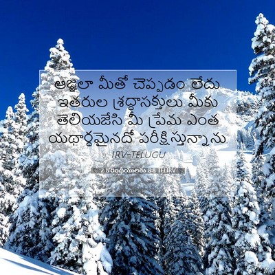 Picture 07 - 2 కొరింథీయులకు 8:8 TELIRV - ఆజ్ఞలా మీతో - Bible Verse Picture