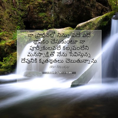 Picture 07 - 2 తిమోతి పత్రిక 1:3 TELIRV - నా ప్రార్థనల్లో - Bible Verse Picture