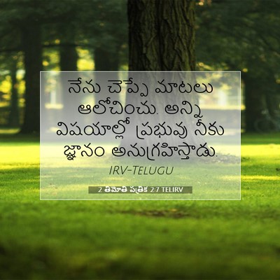 Picture 07 - 2 తిమోతి పత్రిక 2:7 TELIRV - నేను చెప్పే మాటలు - Bible Verse Picture