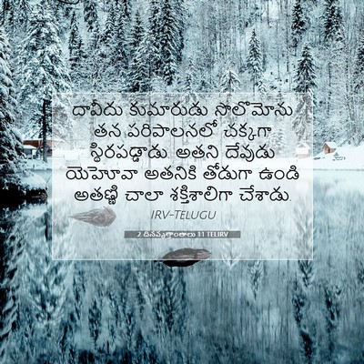Picture 07 - 2 దినవృత్తాంతాలు 1:1 TELIRV - దావీదు కుమారుడు - Bible Verse Picture