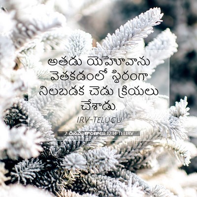Picture 07 - 2 దినవృత్తాంతాలు 12:14 TELIRV - అతడు యెహోవాను - Bible Verse Picture