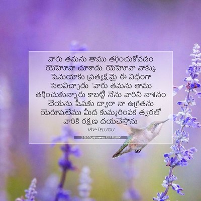 Picture 07 - 2 దినవృత్తాంతాలు 12:7 TELIRV - వారు తమను తాము - Bible Verse Picture