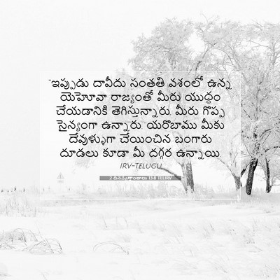 Picture 07 - 2 దినవృత్తాంతాలు 13:8 TELIRV - “ఇప్పుడు దావీదు - Bible Verse Picture