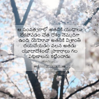 Picture 07 - 2 దినవృత్తాంతాలు 14:6 TELIRV - ఆ సంవత్సరాల్లో - Bible Verse Picture
