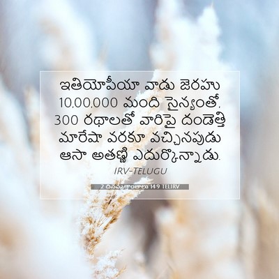 Picture 07 - 2 దినవృత్తాంతాలు 14:9 TELIRV - ఇతియోపీయా వాడు - Bible Verse Picture