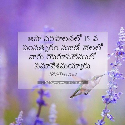 Picture 07 - 2 దినవృత్తాంతాలు 15:10 TELIRV - ఆసా పరిపాలనలో 15 వ - Bible Verse Picture