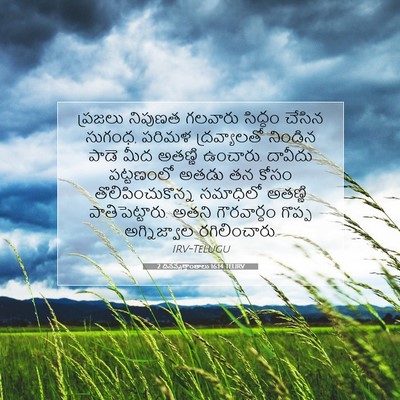 Picture 07 - 2 దినవృత్తాంతాలు 16:14 TELIRV - ప్రజలు నిపుణత - Bible Verse Picture