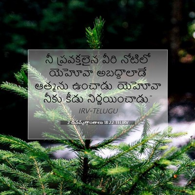 Picture 07 - 2 దినవృత్తాంతాలు 18:22 TELIRV - నీ ప్రవక్తలైన - Bible Verse Picture
