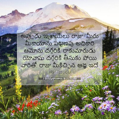 Picture 07 - 2 దినవృత్తాంతాలు 18:25 TELIRV - అప్పుడు ఇశ్రాయేలు - Bible Verse Picture