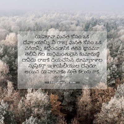 Picture 07 - 2 దినవృత్తాంతాలు 2:12 TELIRV - యెహోవా ఘనత కోసం ఒక - Bible Verse Picture