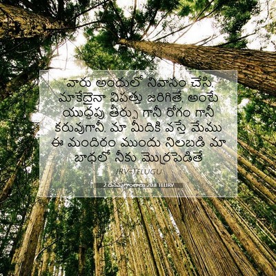 Picture 07 - 2 దినవృత్తాంతాలు 20:8 TELIRV - “వారు అందులో - Bible Verse Picture