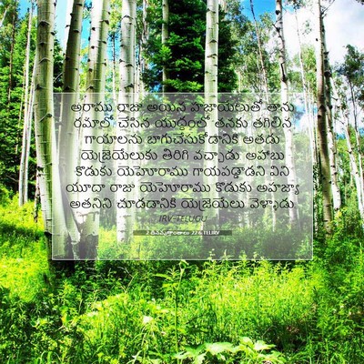 Picture 07 - 2 దినవృత్తాంతాలు 22:6 TELIRV - అరాము రాజు అయిన - Bible Verse Picture