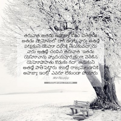 Picture 07 - 2 దినవృత్తాంతాలు 22:9 TELIRV - తరువాత అతడు - Bible Verse Picture