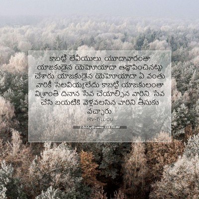 Picture 07 - 2 దినవృత్తాంతాలు 23:8 TELIRV - కాబట్టి లేవీయులు, - Bible Verse Picture