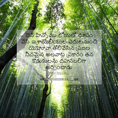 Picture 07 - 2 దినవృత్తాంతాలు 28:3 TELIRV - బెన్‌ హిన్నోము - Bible Verse Picture