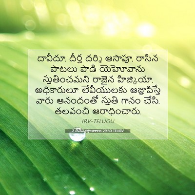 Picture 07 - 2 దినవృత్తాంతాలు 29:30 TELIRV - దావీదూ, దీర్ఘ - Bible Verse Picture