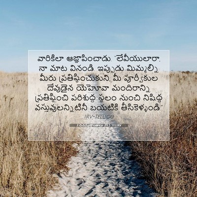 Picture 07 - 2 దినవృత్తాంతాలు 29:5 TELIRV - వారికిలా - Bible Verse Picture