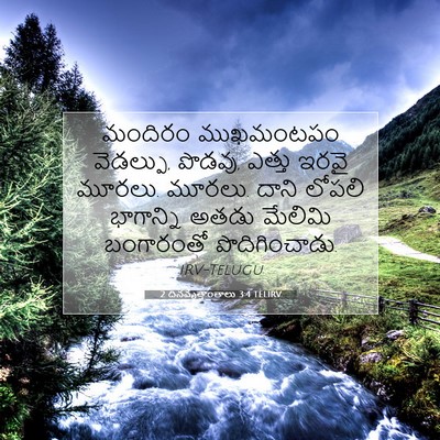Picture 07 - 2 దినవృత్తాంతాలు 3:4 TELIRV - మందిరం ముఖమంటపం - Bible Verse Picture