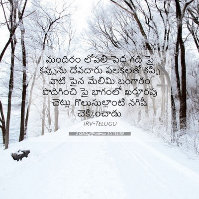 Picture 07 - 2 దినవృత్తాంతాలు 3:5 TELIRV - మందిరం లోపలి - Bible Verse Picture