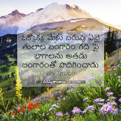 Picture 07 - 2 దినవృత్తాంతాలు 3:9 TELIRV - ఒక్కొక్క మేకు - Bible Verse Picture