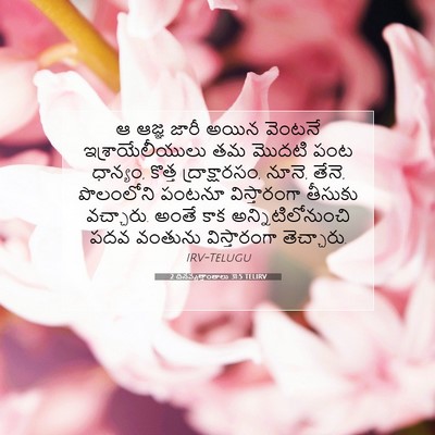 Picture 07 - 2 దినవృత్తాంతాలు 31:5 TELIRV - ఆ ఆజ్ఞ జారీ అయిన - Bible Verse Picture