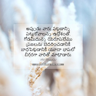 Picture 07 - 2 దినవృత్తాంతాలు 32:18 TELIRV - అప్పుడు వారు - Bible Verse Picture