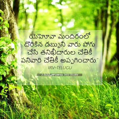 Picture 07 - 2 దినవృత్తాంతాలు 34:17 TELIRV - యెహోవా మందిరంలో - Bible Verse Picture