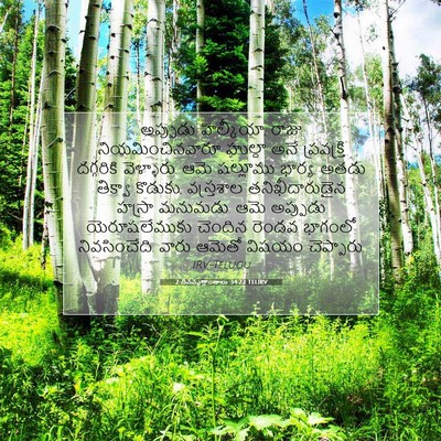 Picture 07 - 2 దినవృత్తాంతాలు 34:22 TELIRV - అప్పుడు హిల్కీయా, - Bible Verse Picture