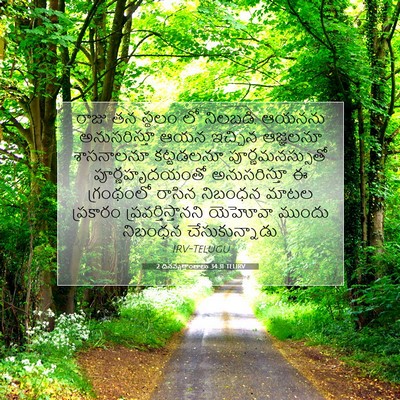 Picture 07 - 2 దినవృత్తాంతాలు 34:31 TELIRV - రాజు తన స్థలం లో - Bible Verse Picture