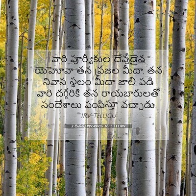 Picture 07 - 2 దినవృత్తాంతాలు 36:15 TELIRV - వారి పూర్వీకుల - Bible Verse Picture